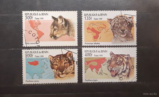Бенин. 1999 год. Фауна. Дикие кошки (625)