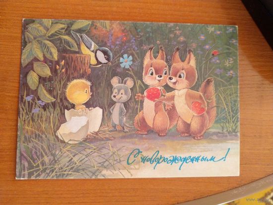 Беларусь провизорий Полоцк Витебск обл чистая художник Зарубин