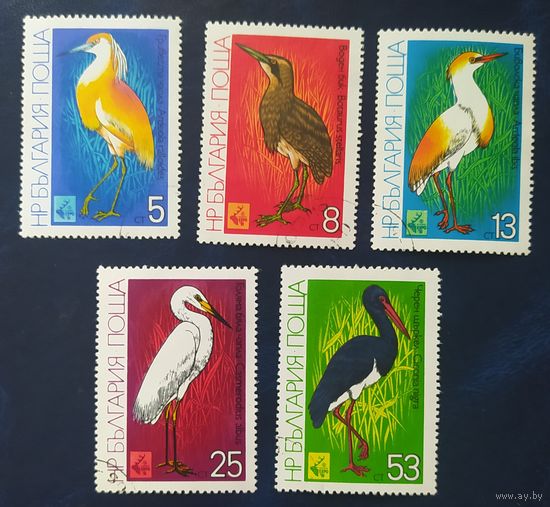 Болгария 1981 Птицы