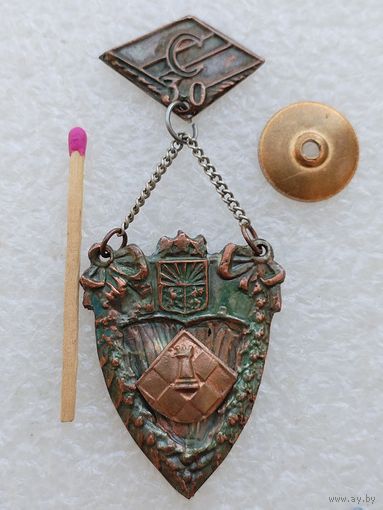 Знак. ДСО "Спартак", 30 лет. Шахматы. тяжёлый, накладной, винт