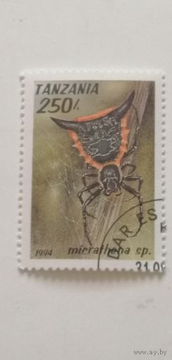 Танзания 1994. Пауки.