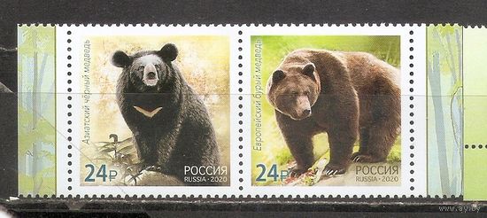 ФФ1 Россия 2020 Медведь