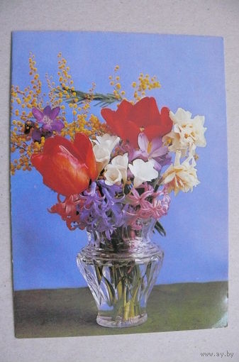 Костенко Г.(фото), Цветы, 1984, двойная, чистая.