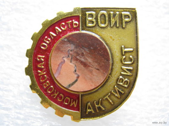 ВОИР, Московская область, активист, камень.