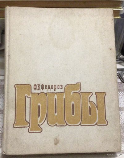 Грибы