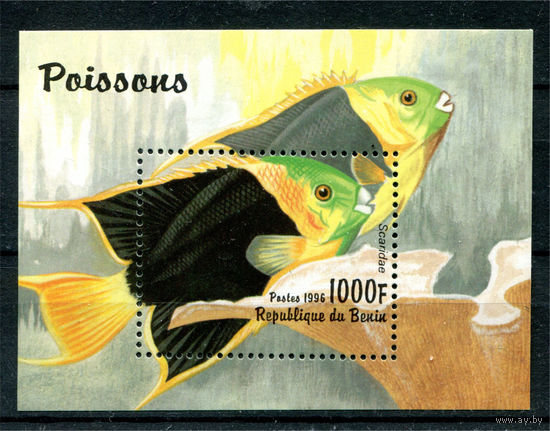 Бенин - 1996г. - Рыбки - полная серия, MNH [Mibl. 23] - 1 блок