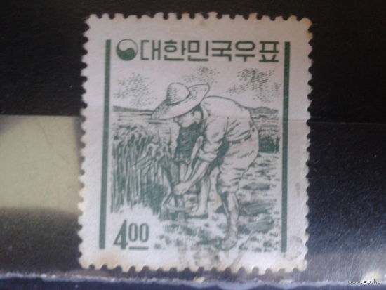 Корея Южная, 1962. Рисовод