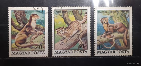 Венгрия. 1979 год. Фауна (578)