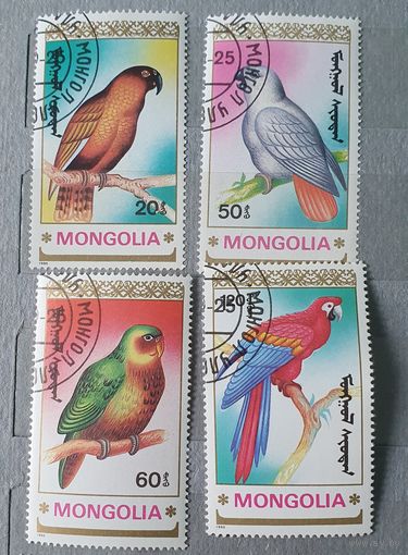 Монголия попугаи 4шт