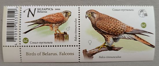 Сокол (из серии). Марка с купоном. Беларусь, 2021