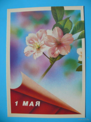 Жомков В., 1 Мая, 1988, чистая.