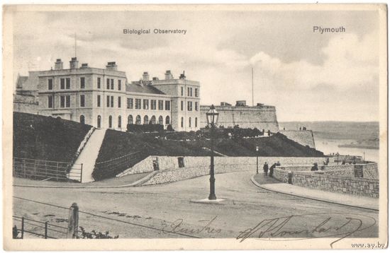 Открытка старинная