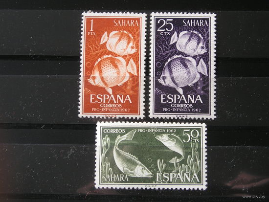 Испанская Сахара 1962 Рыбы