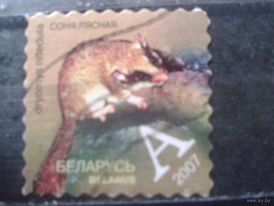 2007 Соня