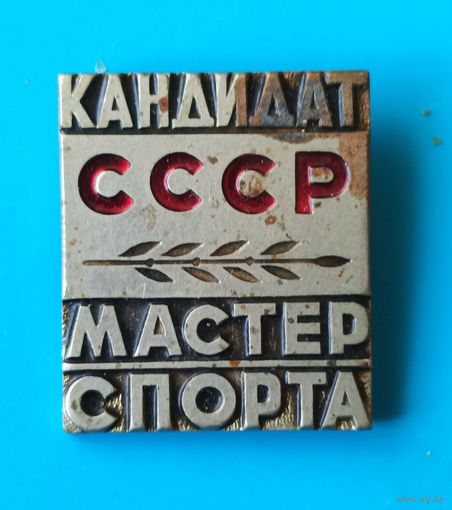 Кандидат в мастера спорта (КМС).