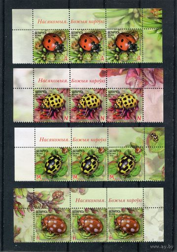 Беларусь 2015. Фауна. Божья коровка. Верхняя сцепка листа