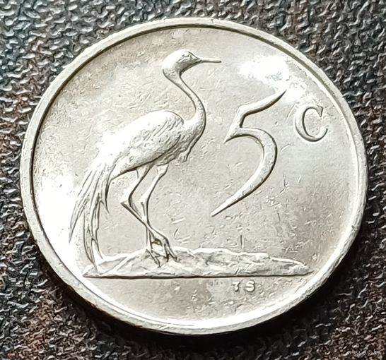 ЮАР 5 центов, 1986    ( 1-7-5 )