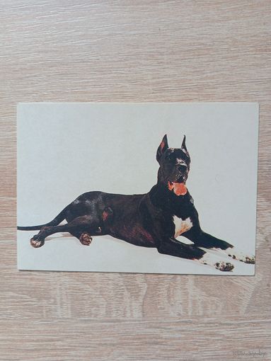 Календарик 1992-93