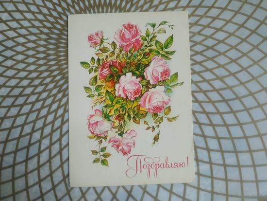 Открытка СССР 1986 год.   Чистая. Л.Бодрихина. Состояние на скане.