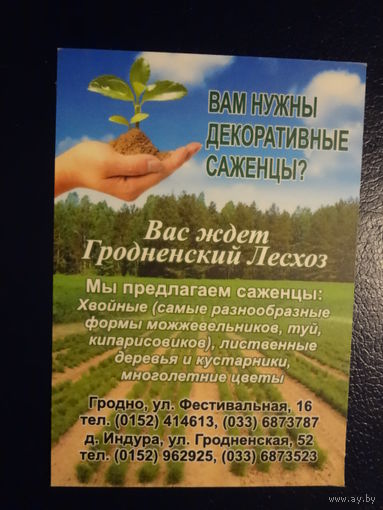 Календарик 2011 г.  Вам нужны декоративные саженцы?  Вас ждет Гродненский Лесхоз.