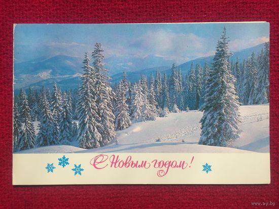 С Новым Годом! 1981 г. Двойная.