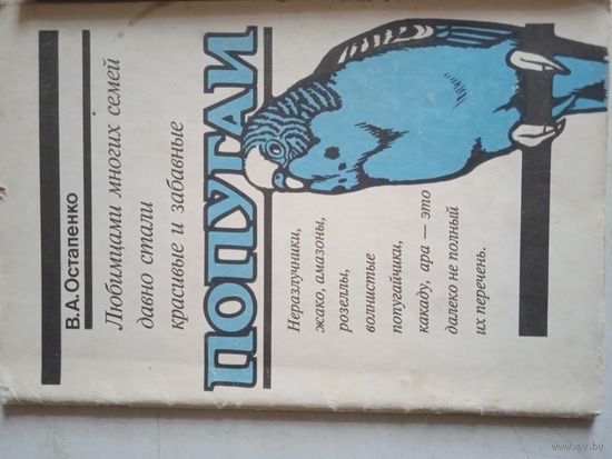 Попугаи