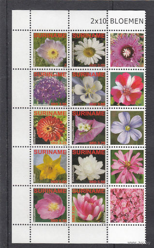 Флора. Цветы. Суринам. 2009. 10 марок с купонами. Michel N 2345-2354 (24,0 е)