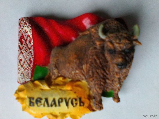 Магнит - "Зубр - Беларусь".