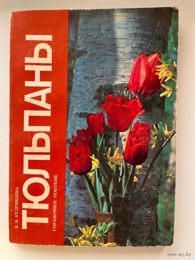 В.М. Кудрявцева. Тюльпаны