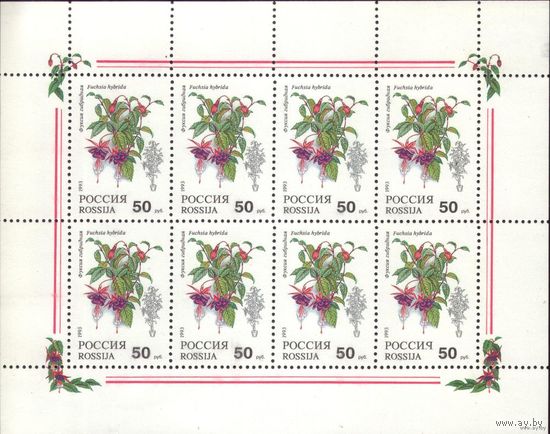 Малый лист 1993 год Россия Комнатные растения/ 1