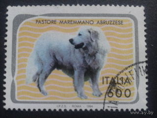 Италия 1994 собака