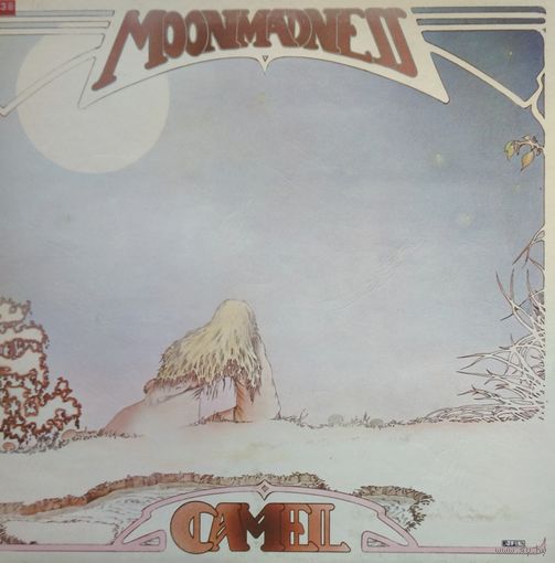CAMEL /Moonmadness/1976,Deram, LP, EX , England