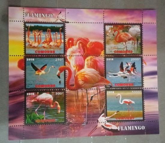 СЕРИЯ Блоков птицы   фауна  MNH