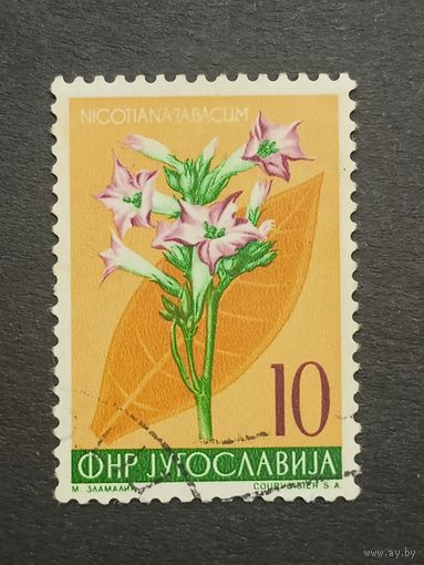 Югославия 1955. Местная флора