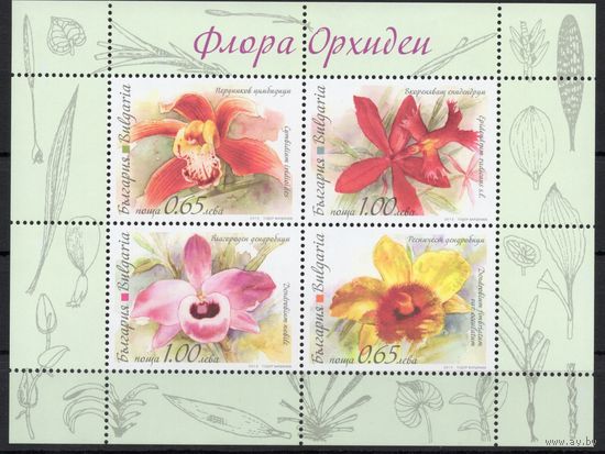 Болгария 2013. Флора Орхидеи (5113)