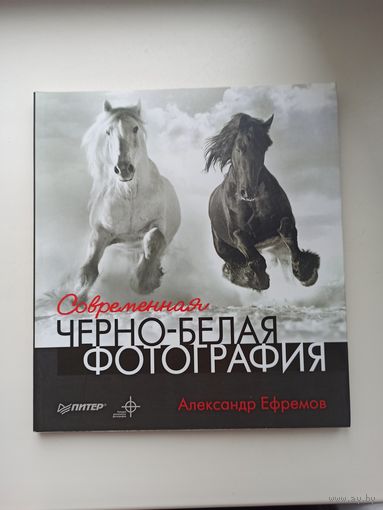 Современная чёрно-белая фотография.