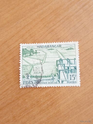 1956 французская колония Мадагаскар флора рисовые поля (2-5)