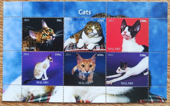 Малави. Коты, блок