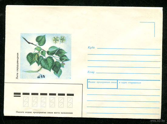 Конверт. Липа сердцевидная. 1989
