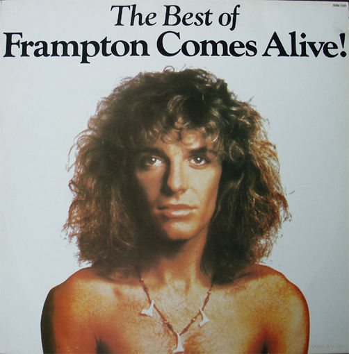 Peter Frampton - The Best Of Frampton Comes Alive! 1985, LP