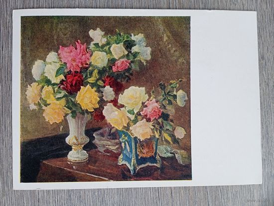 1960. Мясникова. Розы