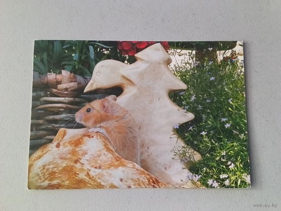 Карманный календарик Хомяк. 2008 год