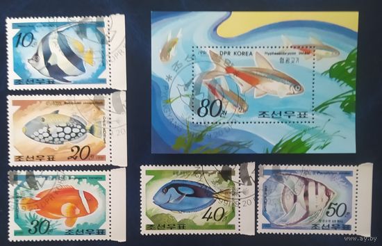 КНДР 1991 рыбы .