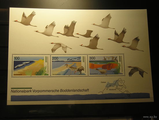 ФРГ 1996 Национальный парк, птицы