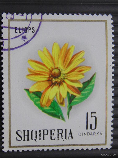 Албания. Цветы.