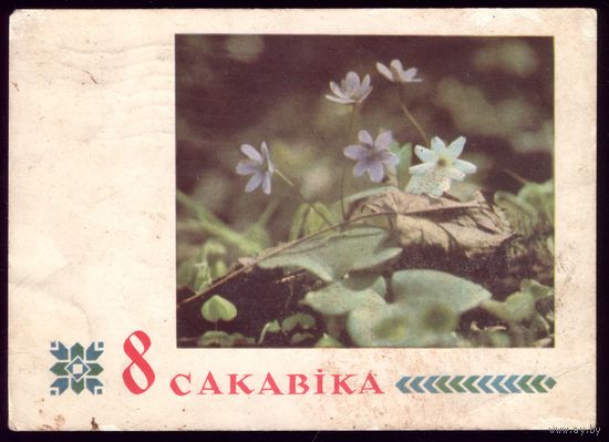 1968 год Г.Грак 8 сакавiка