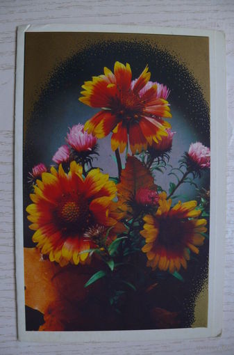 Стейнерт Э., Фотокомпозиция; 1985, двойная, чистая.