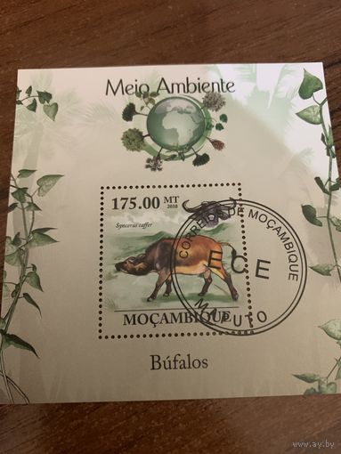 Мозамбик 2010. Буйвол. Блок