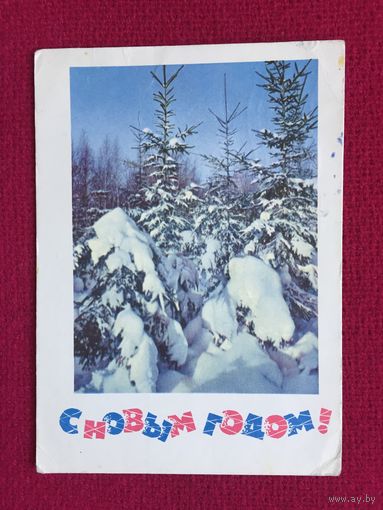 С Новым Годом! Костенко, Дергилева 1966 г.