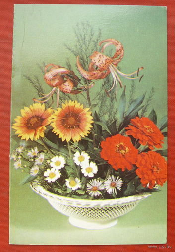 Поздравляем! Подписанная. Двойная. Круцко. 1980 года. 1199.
